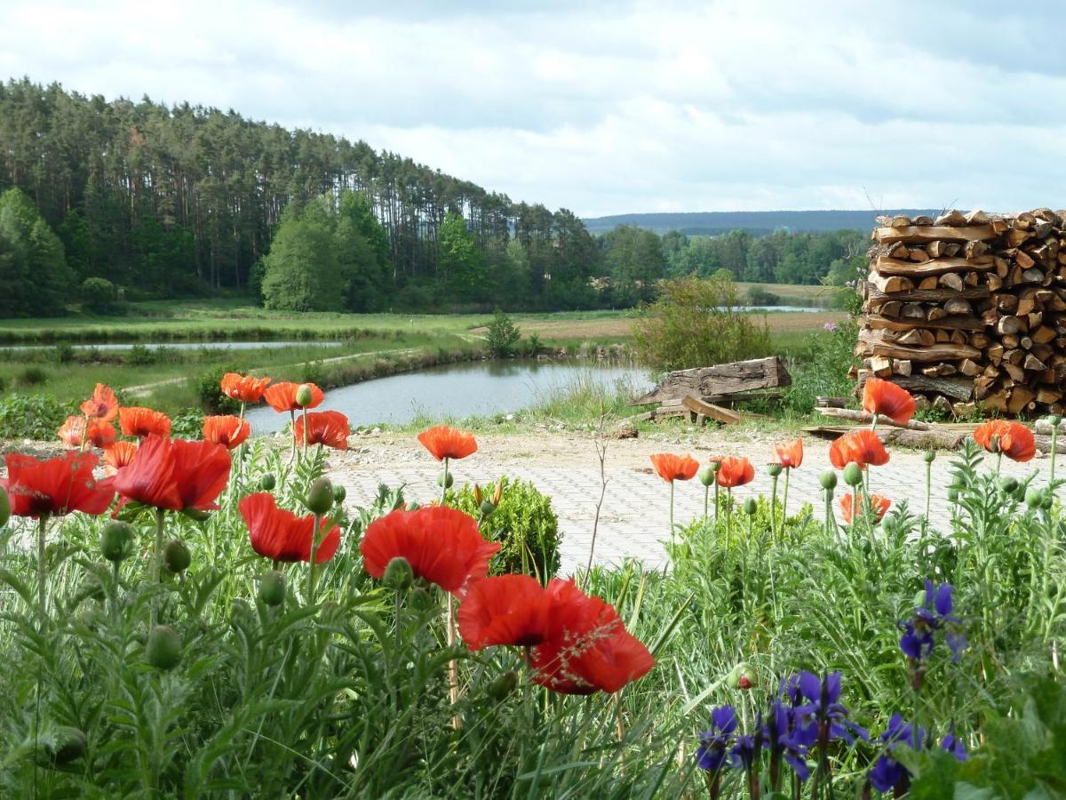 Ferienwohnungen am Büchlhof im Oberpfälzer Seenland Neunburg vorm Wald Exterior foto