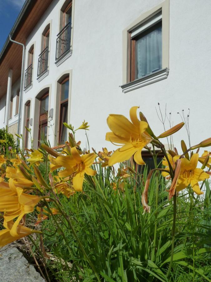 Ferienwohnungen am Büchlhof im Oberpfälzer Seenland Neunburg vorm Wald Exterior foto