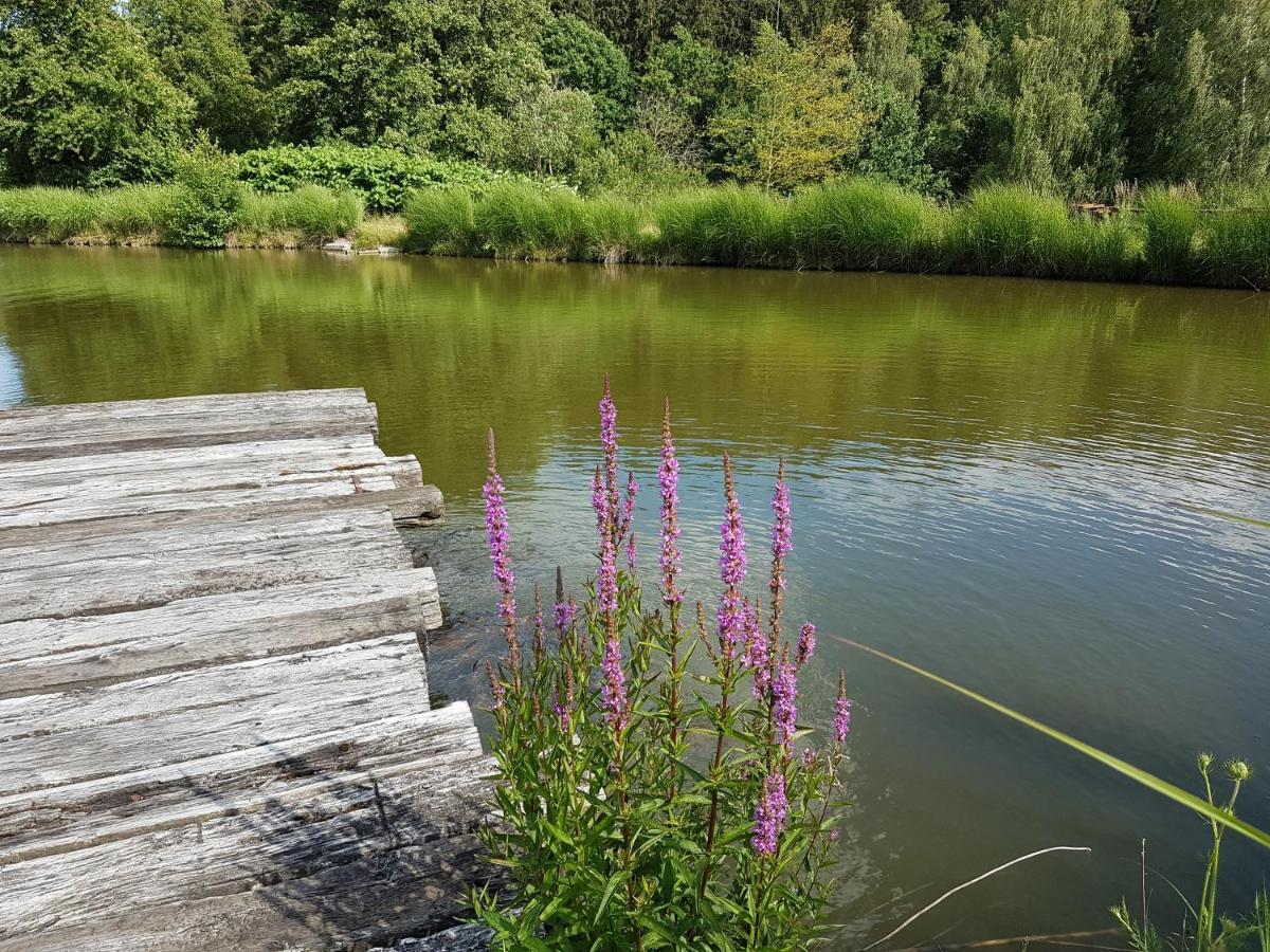 Ferienwohnungen am Büchlhof im Oberpfälzer Seenland Neunburg vorm Wald Exterior foto